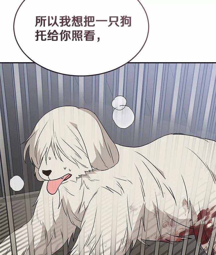 《你好？兽医先生！》48.兽医的职责 第28页