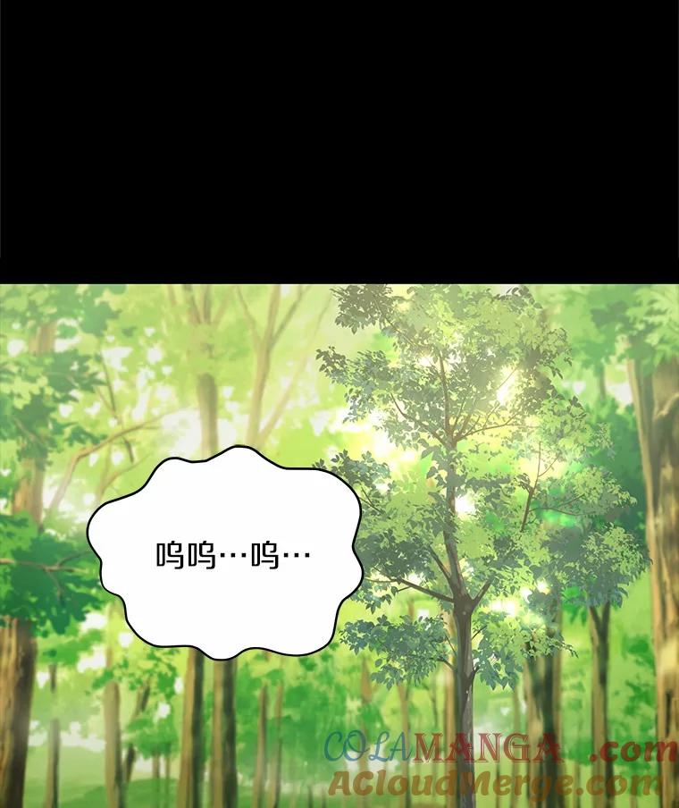 《你好？兽医先生！》48.兽医的职责 第49页