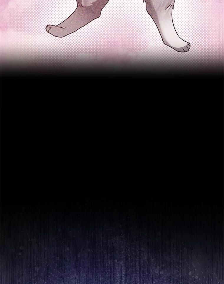 《你好？兽医先生！》48.兽医的职责 第42页