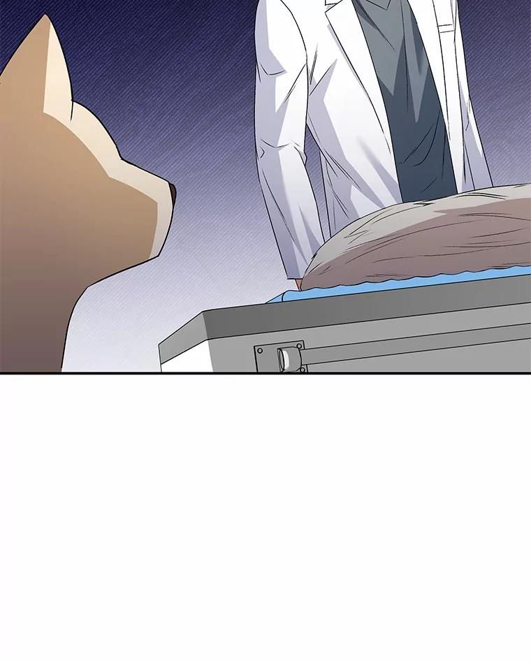 《你好？兽医先生！》48.兽医的职责 第84页