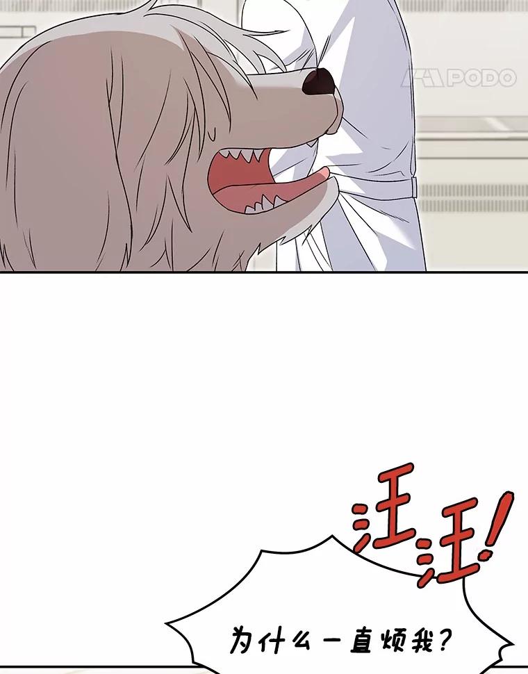 《你好？兽医先生！》49.豆豆的安慰 第31页