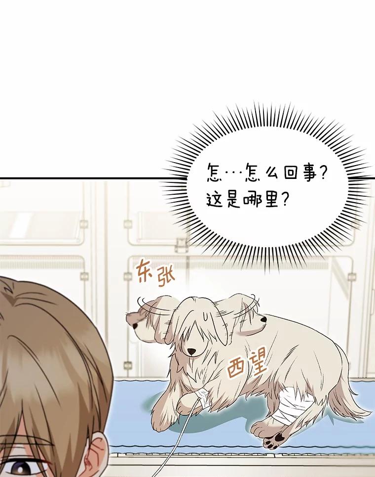 《你好？兽医先生！》49.豆豆的安慰 第22页