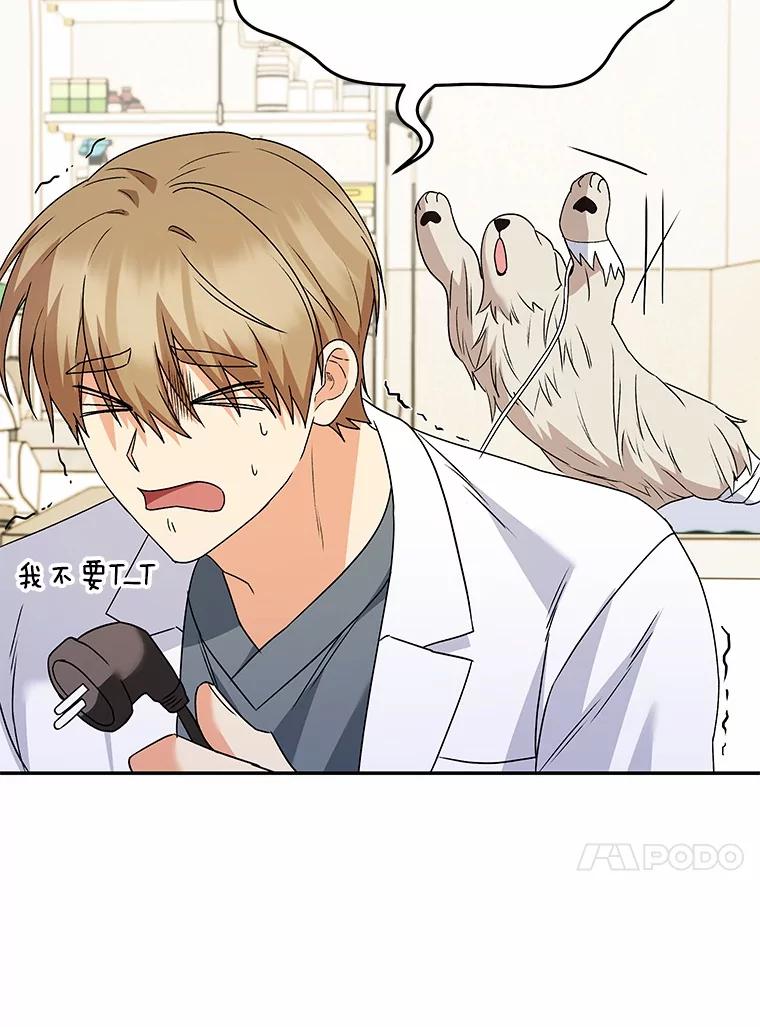 《你好？兽医先生！》49.豆豆的安慰 第40页