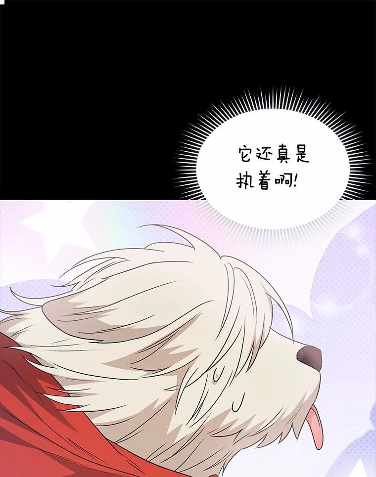 《你好？兽医先生！》49.豆豆的安慰 第16页