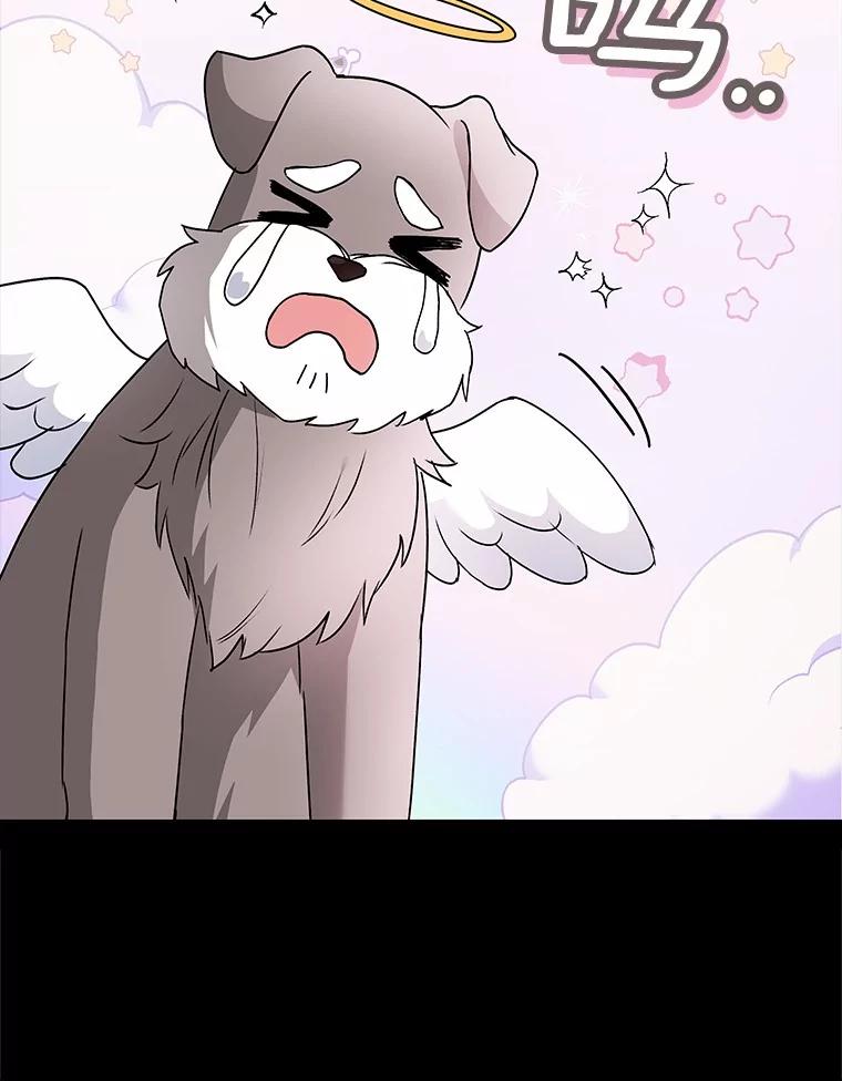 《你好？兽医先生！》49.豆豆的安慰 第8页