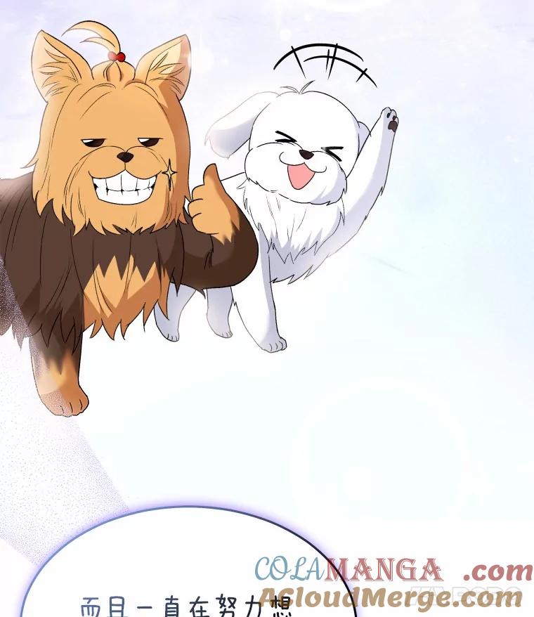 《你好？兽医先生！》49.豆豆的安慰 第93页