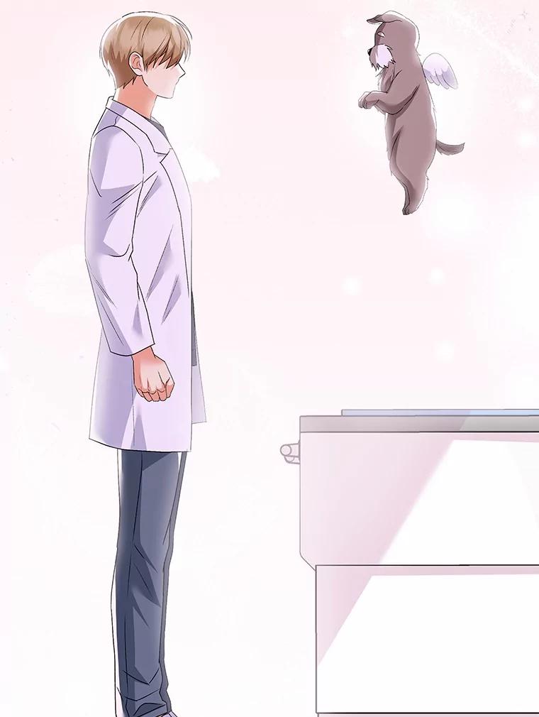 《你好？兽医先生！》49.豆豆的安慰 第72页