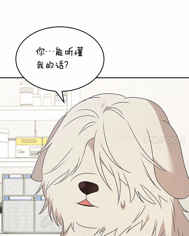 《你好？兽医先生！》49.豆豆的安慰 第52页