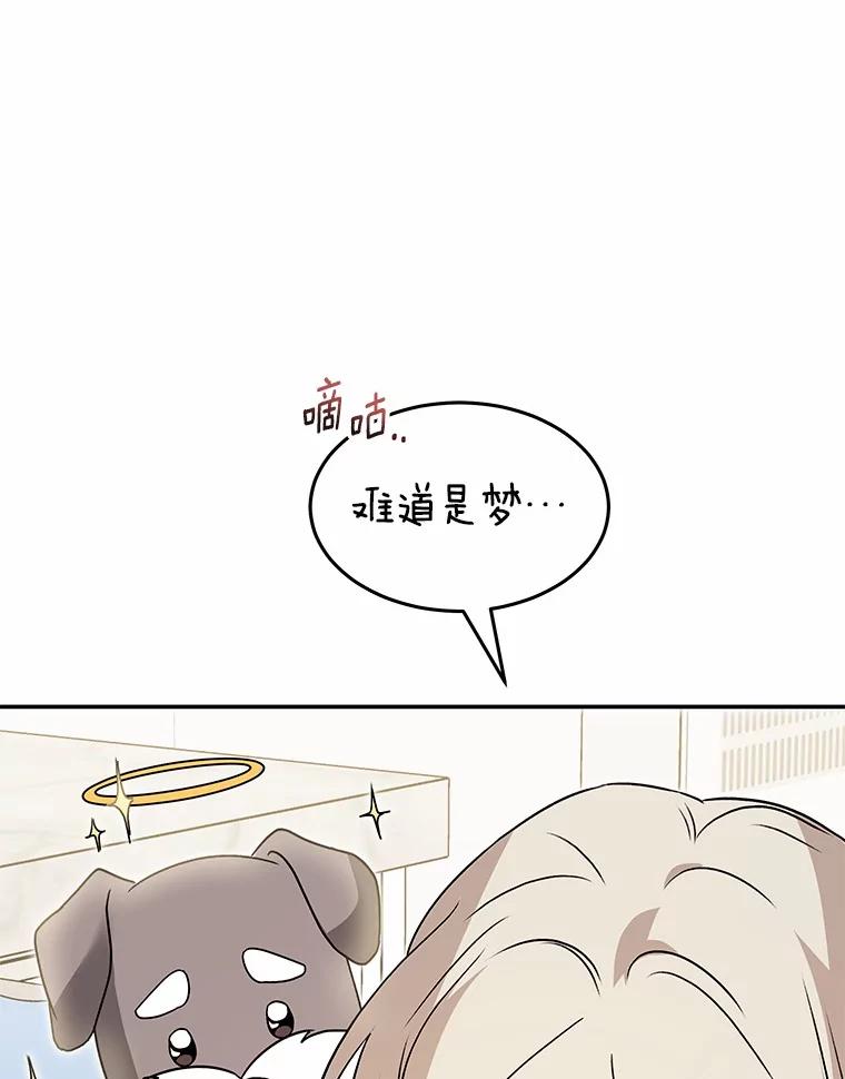 《你好？兽医先生！》49.豆豆的安慰 第26页