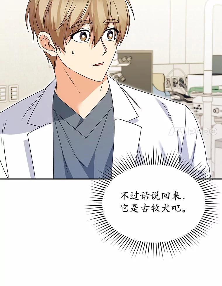 《你好？兽医先生！》49.豆豆的安慰 第34页