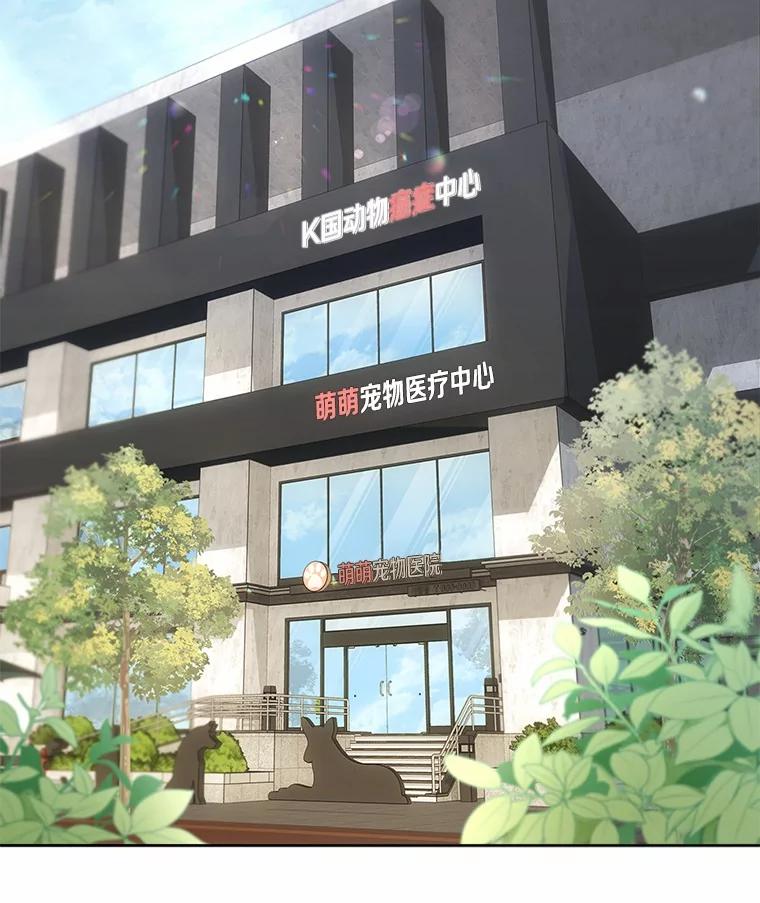 《你好？兽医先生！》51.我们的新家 第3页