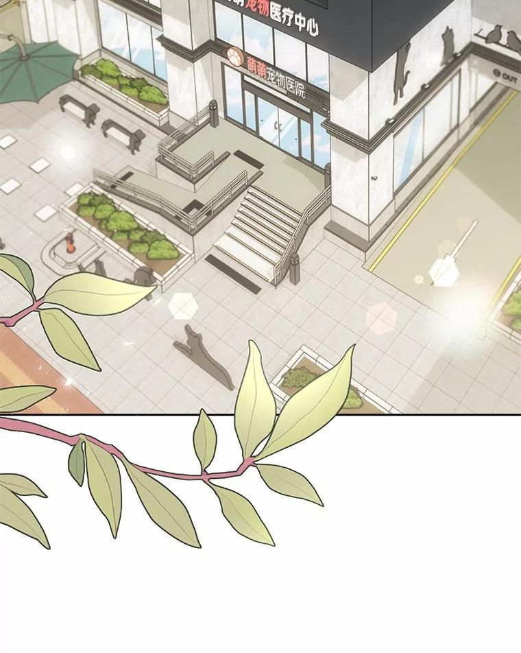 《你好？兽医先生！》51.我们的新家 第140页
