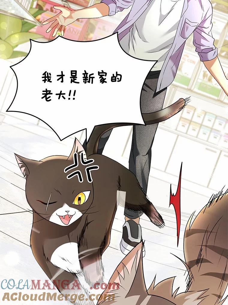 《你好？兽医先生！》51.我们的新家 第37页