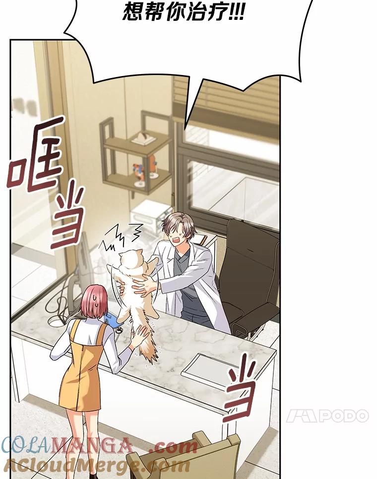 《你好？兽医先生！》52.斯巴达特训 第117页