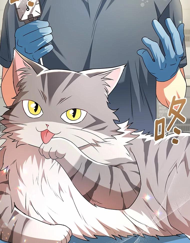《你好？兽医先生！》52.斯巴达特训 第6页