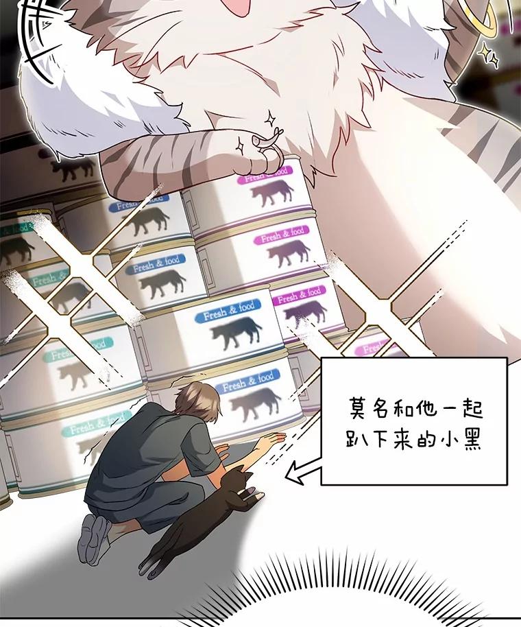 《你好？兽医先生！》52.斯巴达特训 第20页