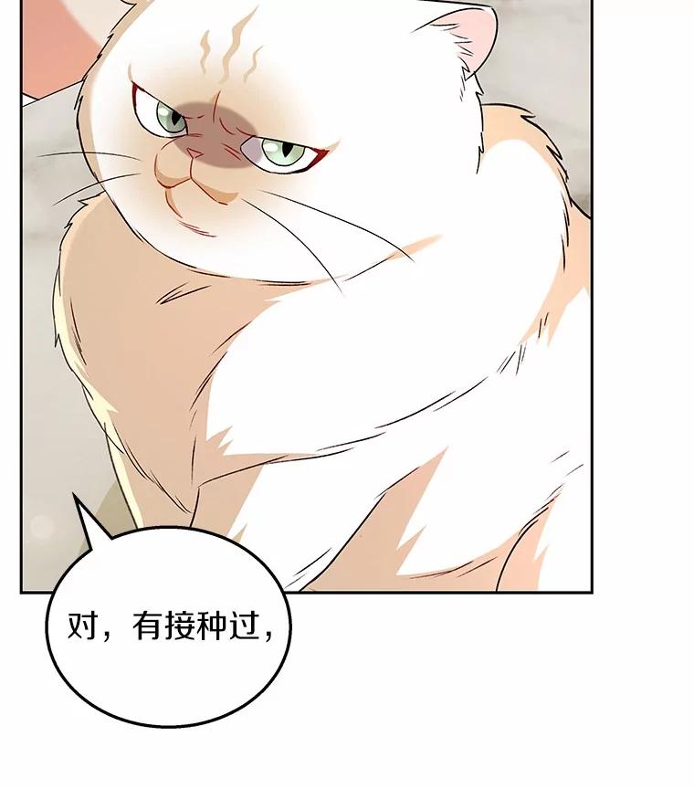 《你好？兽医先生！》53.才不是胆小鬼 第6页