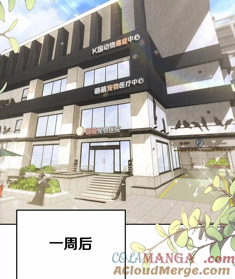 《你好？兽医先生！》53.才不是胆小鬼 第85页