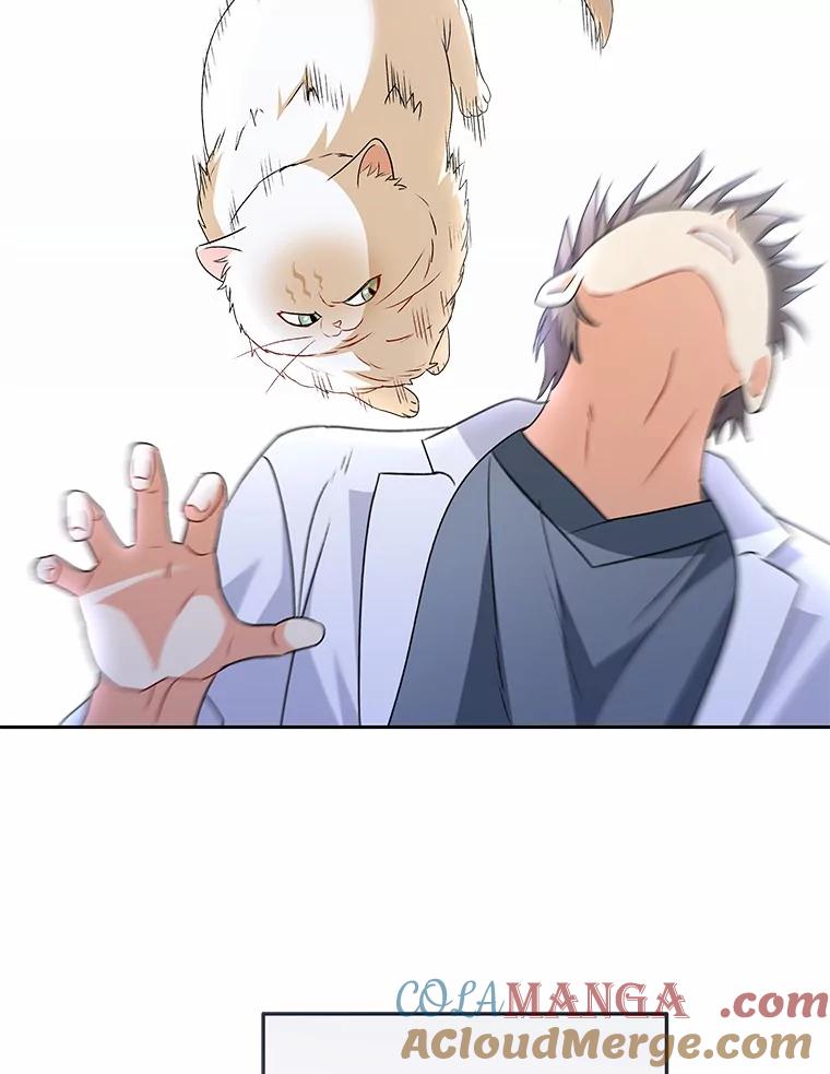 《你好？兽医先生！》53.才不是胆小鬼 第33页