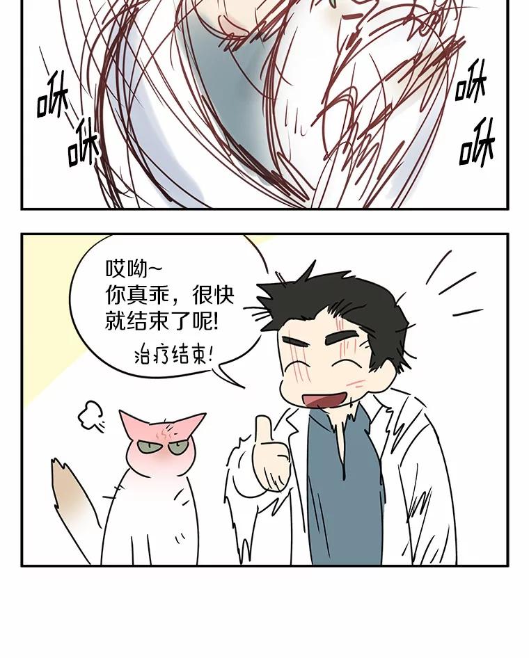 《你好？兽医先生！》53.才不是胆小鬼 第122页