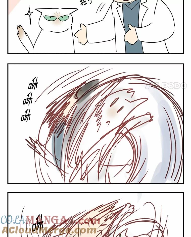 《你好？兽医先生！》53.才不是胆小鬼 第121页