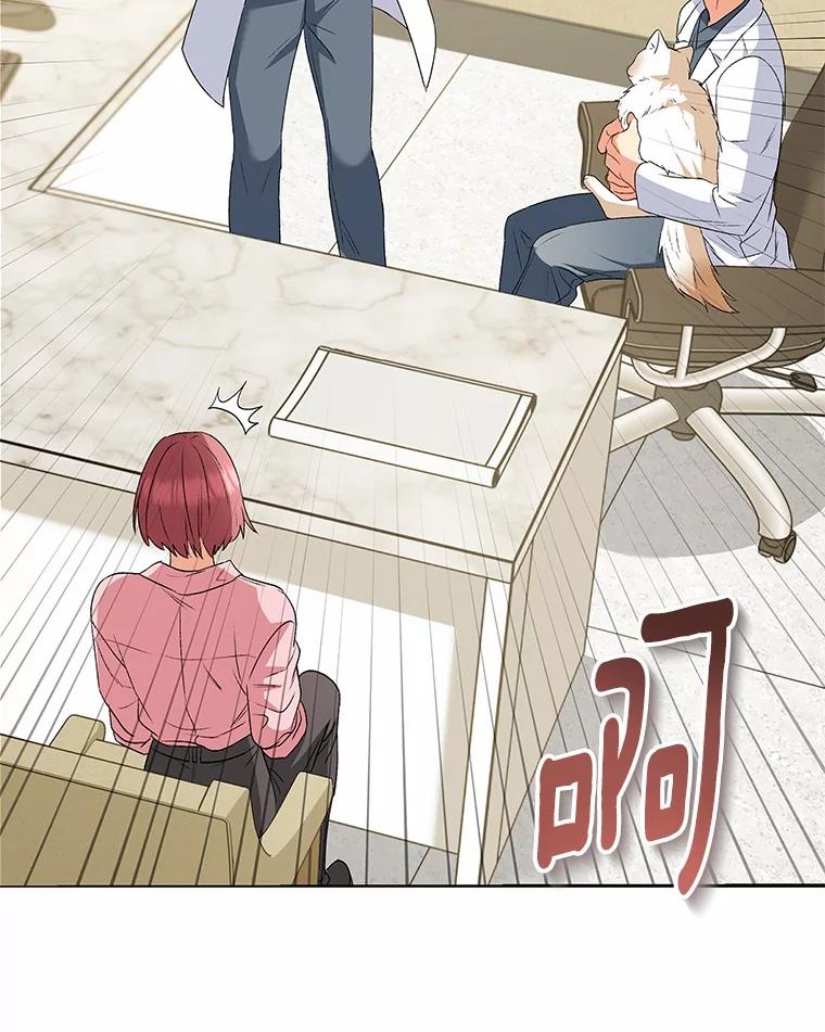 《你好？兽医先生！》53.才不是胆小鬼 第115页