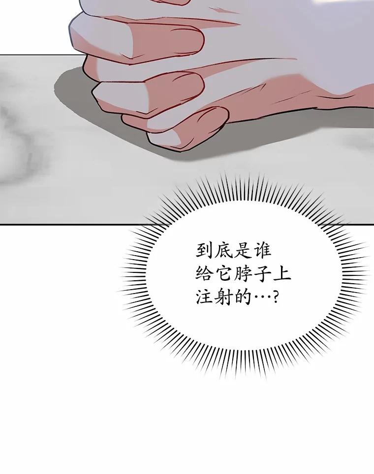 《你好？兽医先生！》53.才不是胆小鬼 第14页
