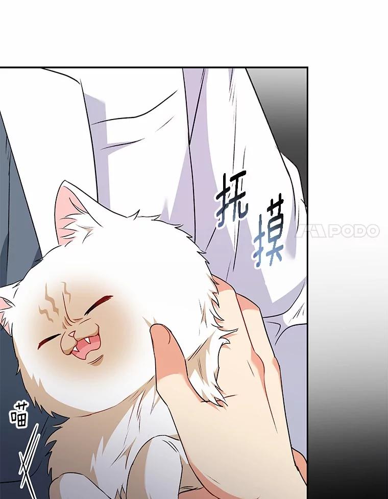 《你好？兽医先生！》53.才不是胆小鬼 第104页