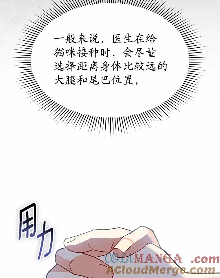 《你好？兽医先生！》53.才不是胆小鬼 第13页