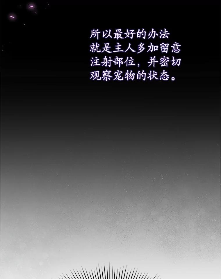 《你好？兽医先生！》53.才不是胆小鬼 第12页