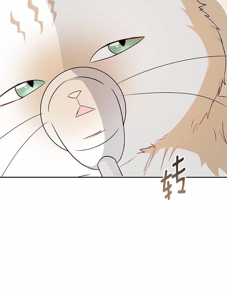 《你好？兽医先生！》55.以后也请多指教 第3页
