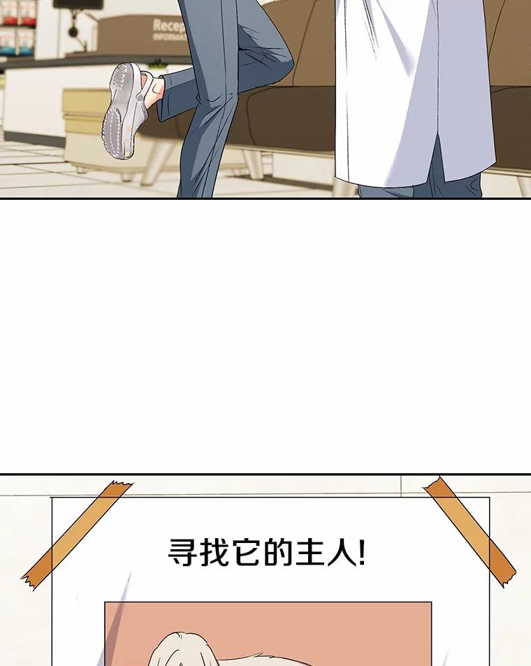 《你好？兽医先生！》56.你好？兽医先生！ 第47页