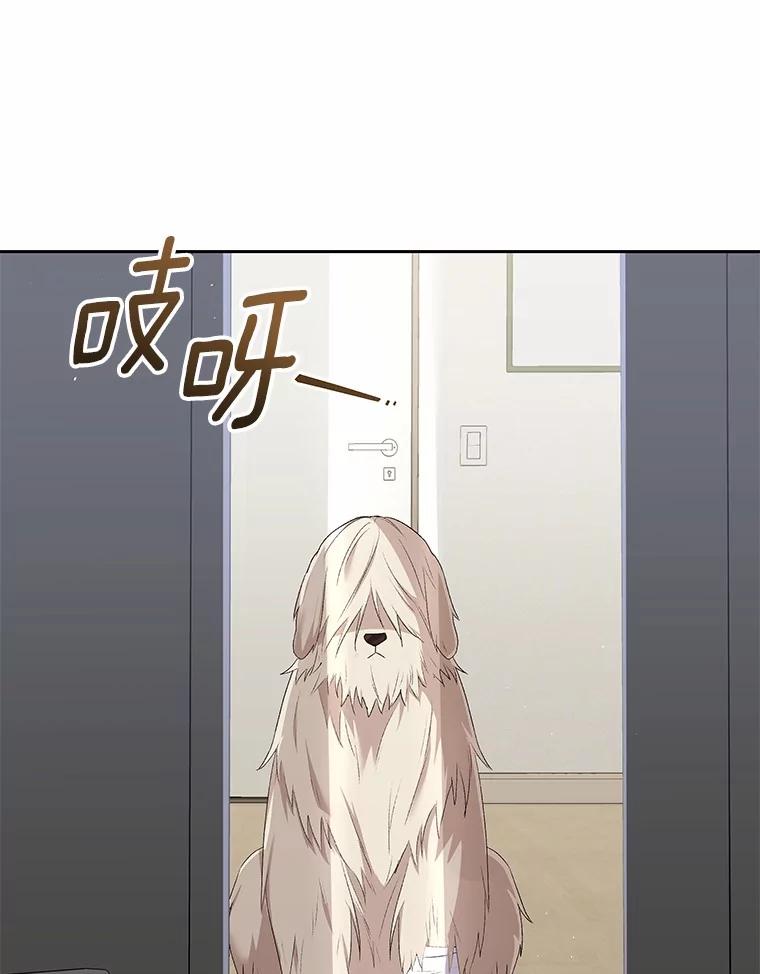 《你好？兽医先生！》56.你好？兽医先生！ 第42页