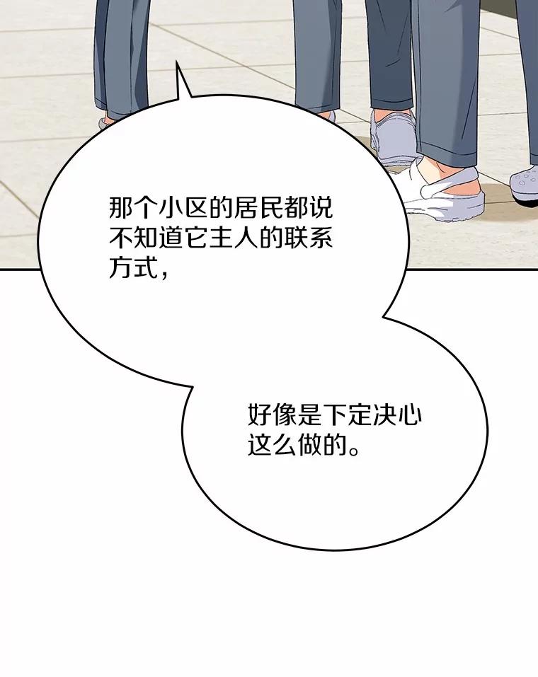 《你好？兽医先生！》56.你好？兽医先生！ 第51页