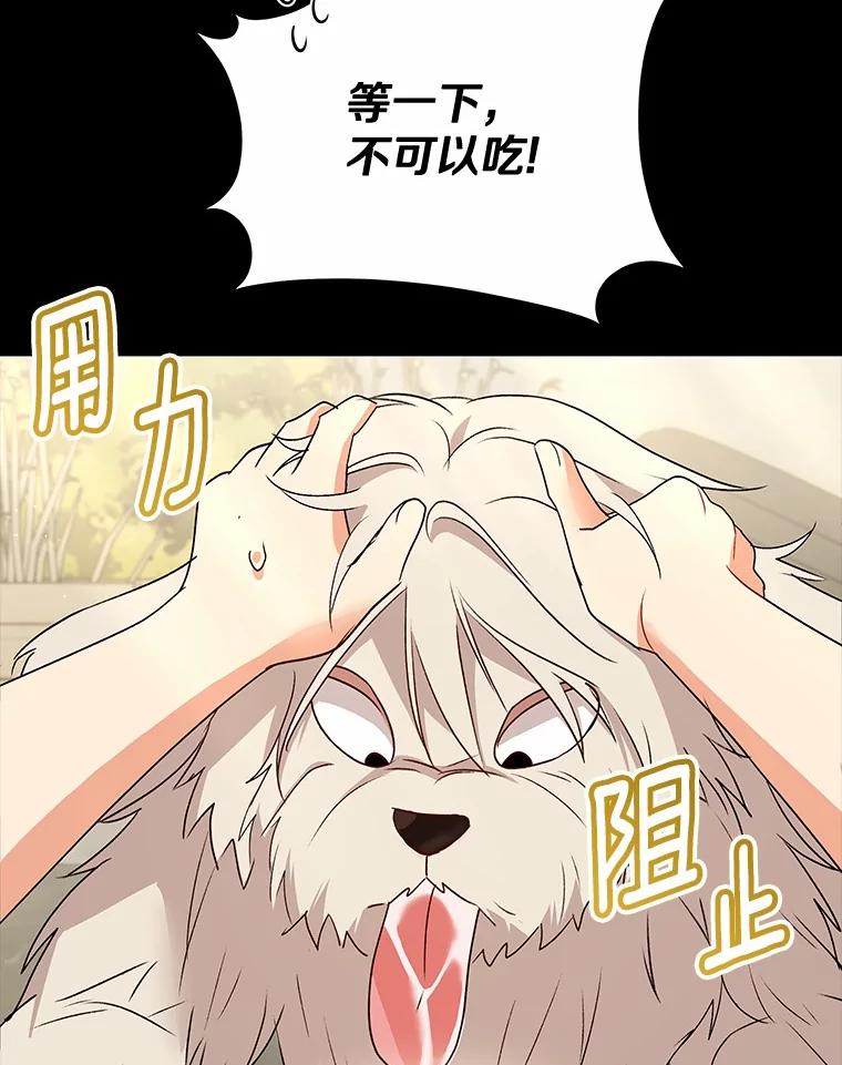 《你好？兽医先生！》56.你好？兽医先生！ 第6页