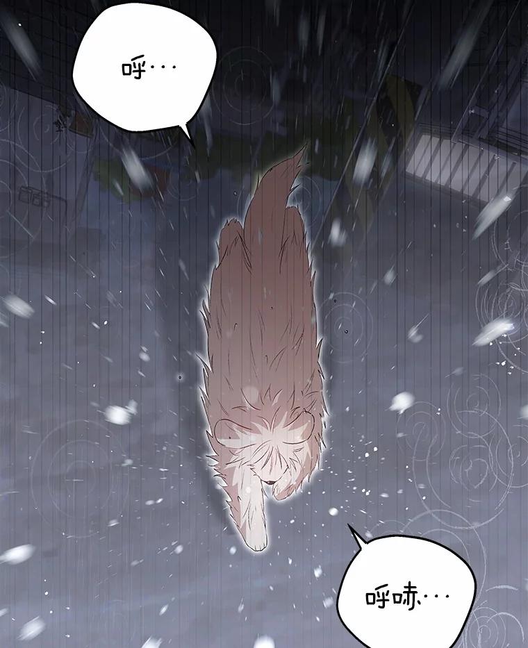 《你好？兽医先生！》57.小古历险记（1） 第3页