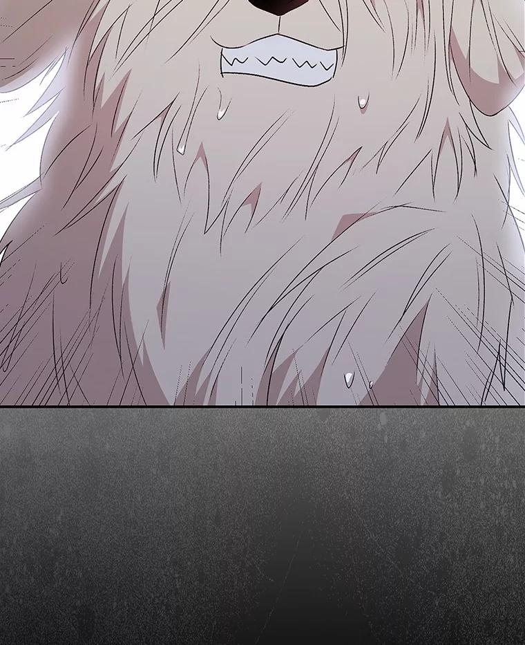 《你好？兽医先生！》57.小古历险记（1） 第8页