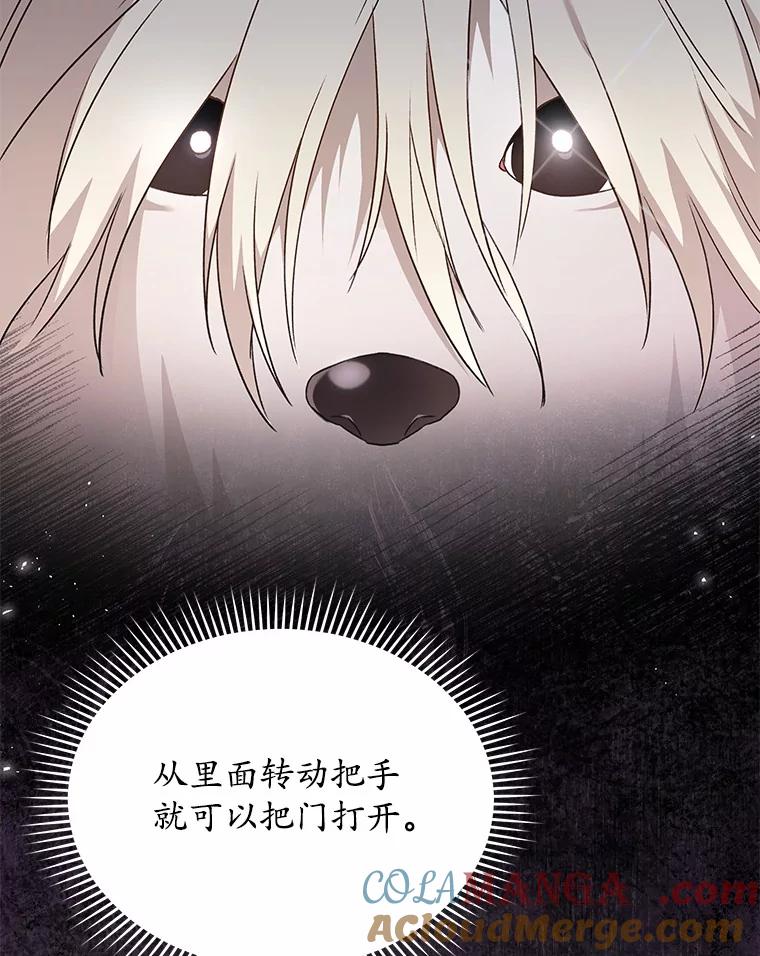 《你好？兽医先生！》57.小古历险记（1） 第53页