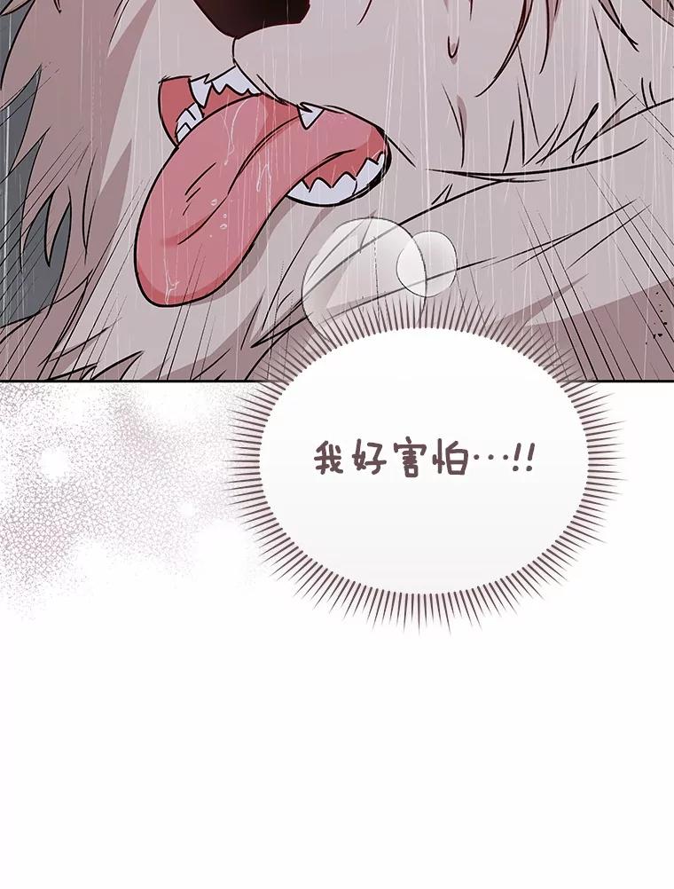 《你好？兽医先生！》57.小古历险记（1） 第120页