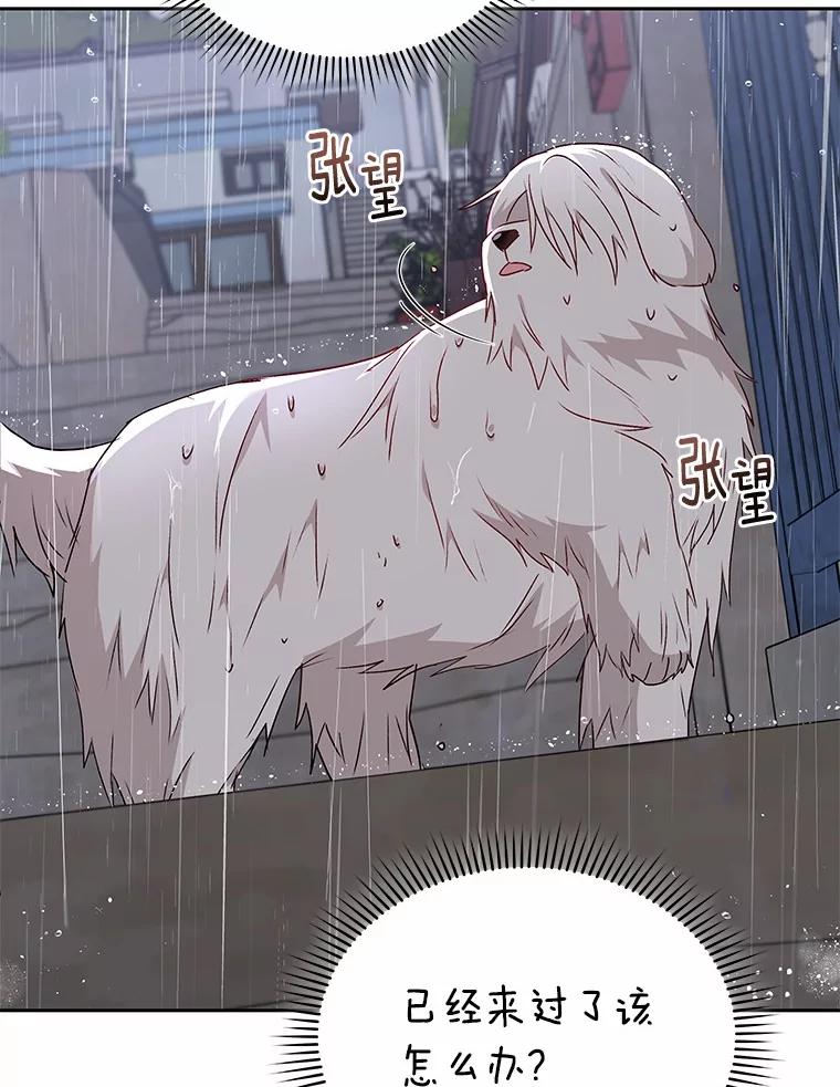 《你好？兽医先生！》57.小古历险记（1） 第80页