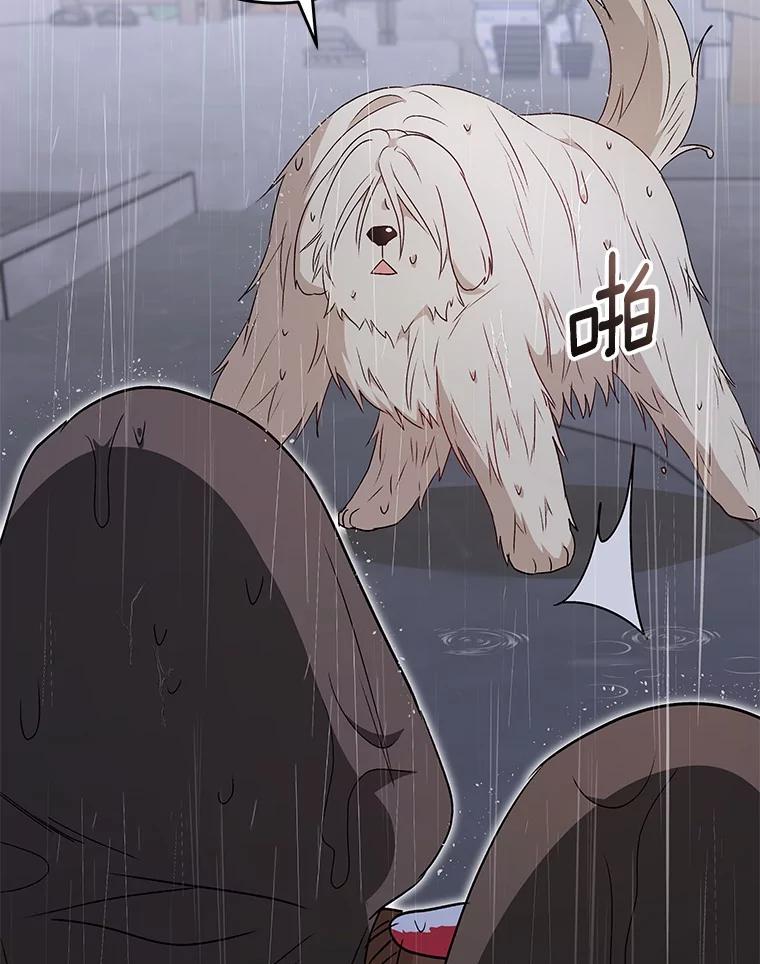 《你好？兽医先生！》57.小古历险记（1） 第96页