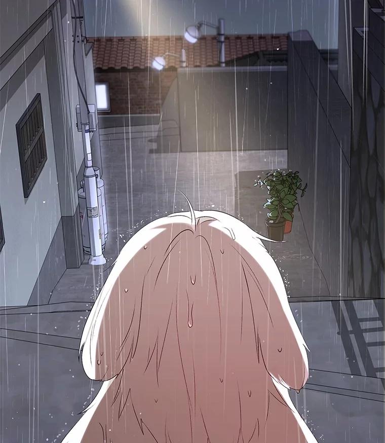 《你好？兽医先生！》57.小古历险记（1） 第16页