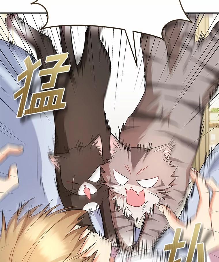 《你好？兽医先生！》57.小古历险记（1） 第28页