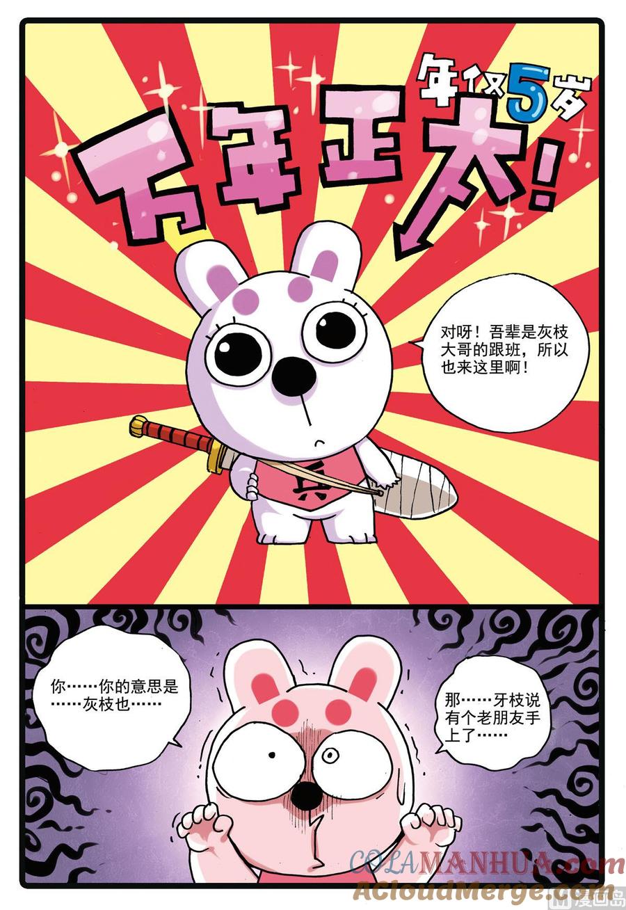 兔子帮 第156话 龙猫 第3页