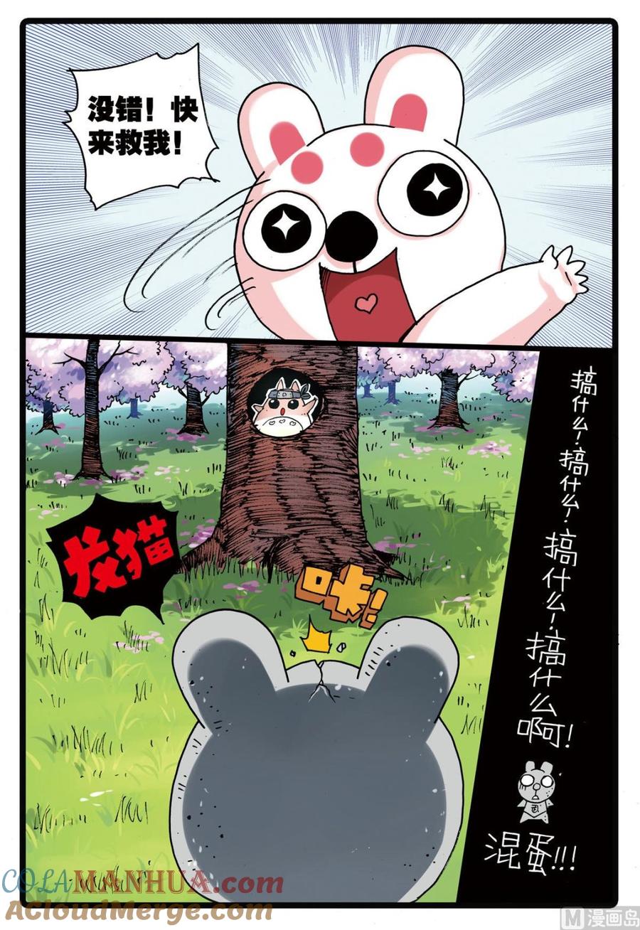 兔子帮 第156话 龙猫 第19页