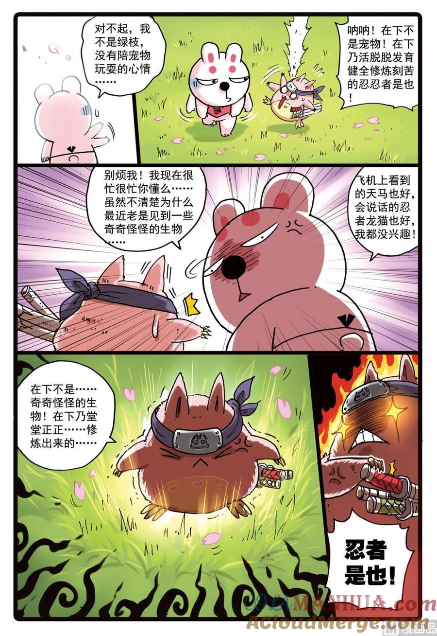 兔子帮 第157话 樱鬼众 第3页