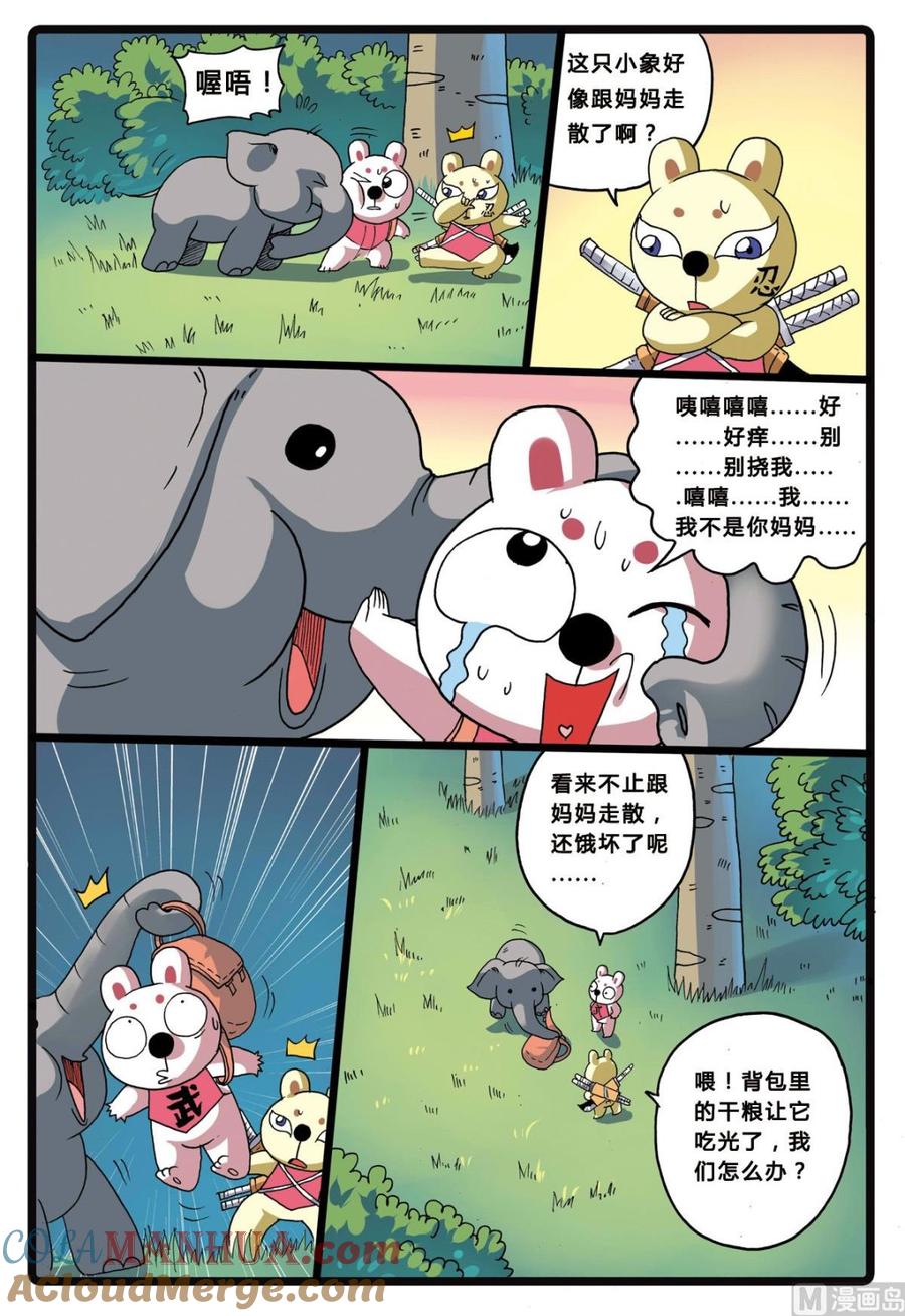 兔子帮 第205话 拯救大象的行动 第5页
