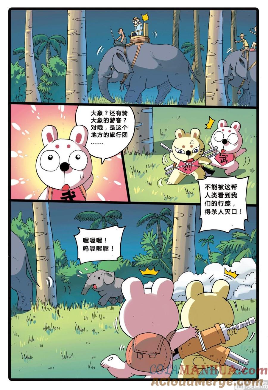 兔子帮 第205话 拯救大象的行动 第3页