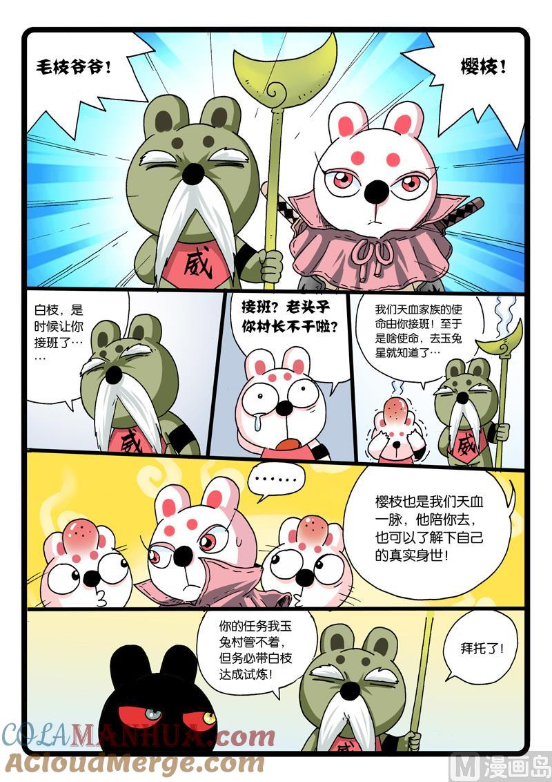 兔子帮 第260话 接班 第5页