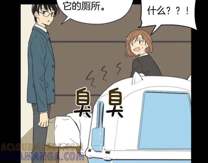 《不能恋爱的房间》第61话 土豪养猫法 第22页